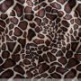 Webpelz Giraffe