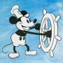 Mickey Maus Velours-Paneel Blau 48x48 cm