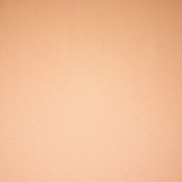 Heavy Brushed Joggingstoff Apricot