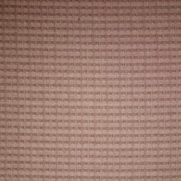 Tochio Yarn-Dyed Popeline 4547-381