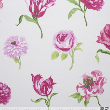 Juliette Peony 