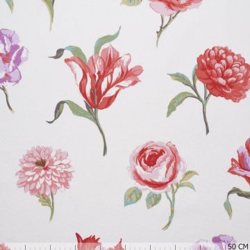 Juliette Geranium