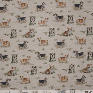 Corgi Hunde