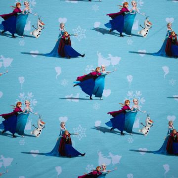 Jersey Disney Frozen Anna und Elsa