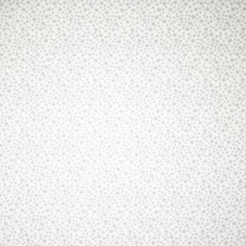 Baumwoll-Popeline Sterne Allover Grau