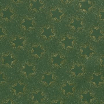 Bedruckter Baumwoll-Popeline mit Folienprint Weihnachtssterne Grün