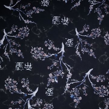 SF Design Studio – Hikari Japanische Zeichen