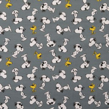 Jersey Peanuts Snoopy grau