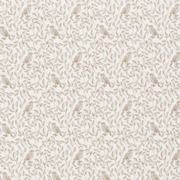 Baumwolljersey Birds Offwhite