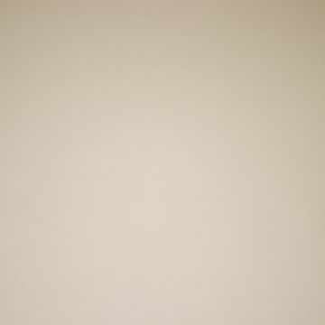 Popeline mit Tencel-Finish Beige