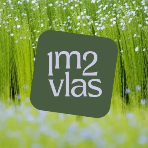 1 m2  vlas