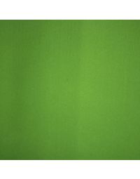 Filz 4 mm Lime
