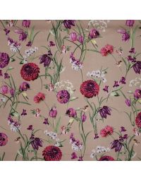 Ring a Roses Dahlia Beige