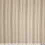 Cotton naturel Streifen beige