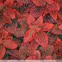 Kaffe Fassett Fittonia Red