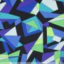Lycra geometrische Formen