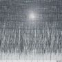Panel Voile schwarz ca. 0.98 x 1.50