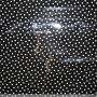 Rainy Dots Black