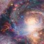 Lycra Sportwear Space