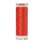 Amann Polysheen Borduurgarn, 200 m, Farbe 1701
