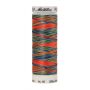 Poly-Multi-Borduergarn, 200 m, Farbe 9981