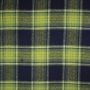 Harris Tweed Karo grün-marine
