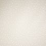 Regenjack-Stoff mit Punkten Beige