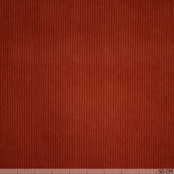 Interieur-Ripp 4,8 Wales terra