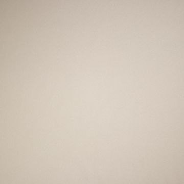 Texture schwer entflammbar 280 cm hellbeige