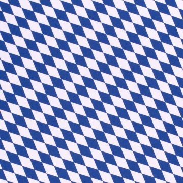 Terlenka mit schrägem Narrenkaro Blau S