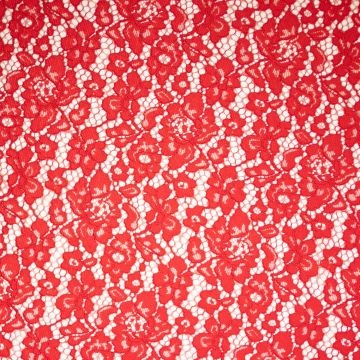 Blütenspitze mit beidseitiger Bogenkante Rot