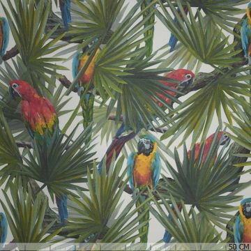Panama-Papageien-Dschungel