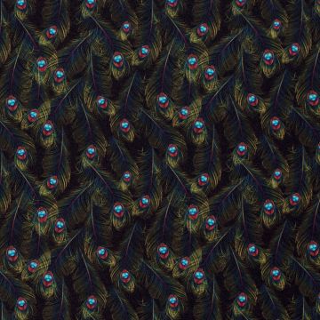 Texture Kleine Pfauenfedern auf Schwarz