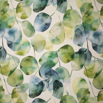 Panama Aquarell Eukalyptus
