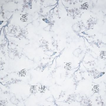 SF Design Studio - Hikari Japanische Zeichen