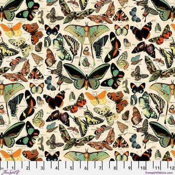 Free Spirit Teal Butterflies Canvas