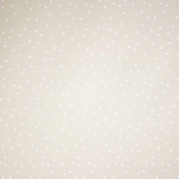 Regenjack-Stoff mit Punkten Beige
