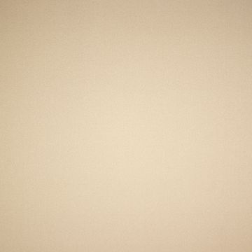 Flaush-Mantelstoff de Luxe Beige