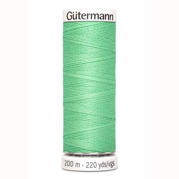 Gütermann Farbe 205