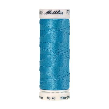 Amann Polysheen Stickgarn, 200 m, Farbe 3910