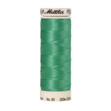Amann Polysheen Stickgarn 200 m, Farbe 5230