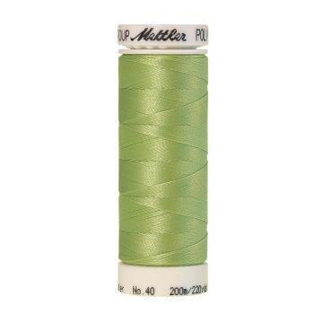 Amann Polysheen Stickgarn, 200 m, Farbe 6051
