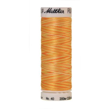 Amann Poly. Multi Stickgarn, 200 m, Farbe 9925