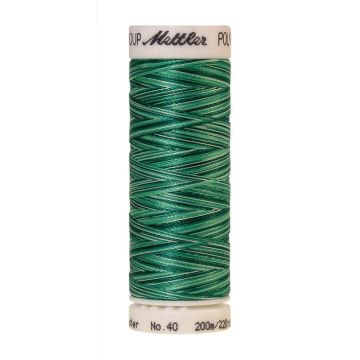 Amann Poly Multi-Borduurgarn, 200 m, Farbe 9931