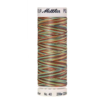 Amann Poly. Multi-Borduurgarn, 200 m, Farbe 9974