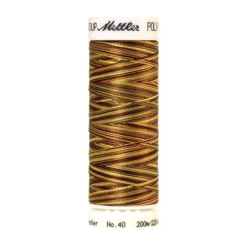 Amann Poly. Multi Stickgarn 200 m, Farbe 9975