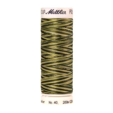 Poly. Multi-Stickgarn, 200 m, Farbe 9976