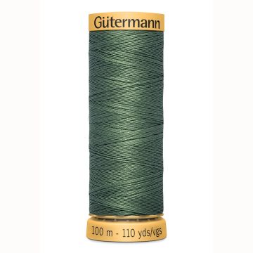 Gütermann Cotton 100 m, Farbe 8724