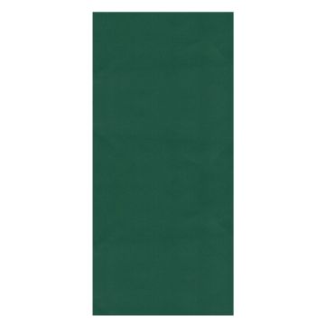Klebeflicken Nylon 10x18 cm grün