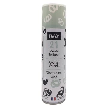 Glanzlack Spray 250 ml